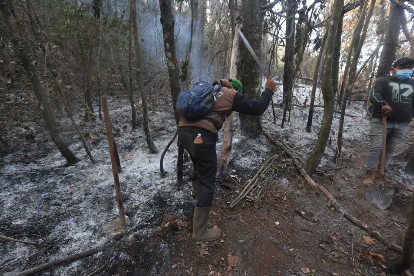 Incendios han consumido más de 208 mil hectáreas forestales en seis años