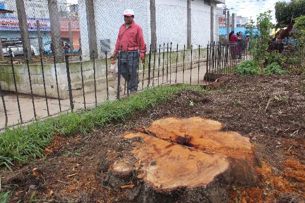 Comuna cortóárboles de  casuarina que se encontraban en el parque de San Juan Comalapa.