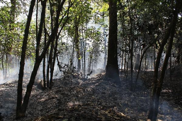 el río de lava que bajó del Volcán de Pacaya  causó daños en 40 manzanas de cultivos.