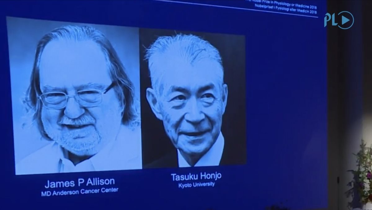 James P. Allison Y Tasuku Honjo Ganan El Premio Nobel De Medicina 2018