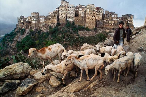 Pastor de cabras en Hajjah, Yemen (1999).