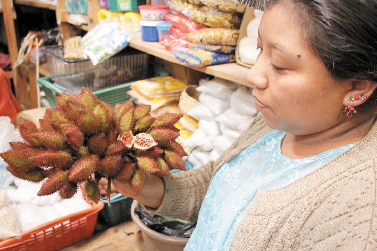 Las vainas de achiote contienen las semillas que luego de secadas son comercializadas.