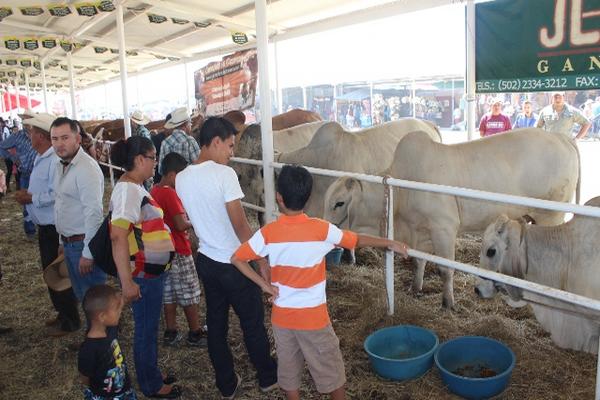 Pobladores de Jutiapa visitan feria ganadera que llevó a cabo en la aldea Cerro Gordo, en la cabecera de este departamento. (Foto Prensa Libre: Óscar González).<br _mce_bogus="1"/>