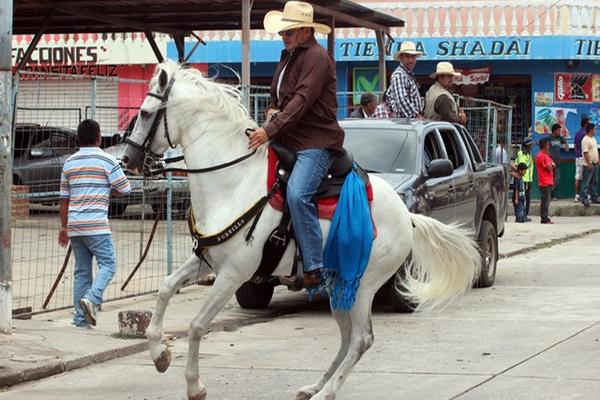 Varias razas de caballo fueron expuestas durante el recorrido del desfile (Foto Prensa Libre: H. Oliva)<br _mce_bogus="1"/>