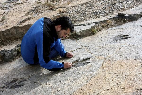 El investigador Ignacio Díaz que ha identificado en varios yacimientos riojanos la huella de un dinosaurio bípedo. (Foto Prensa Libre: EFE)