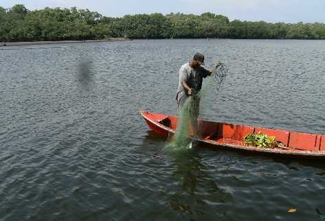 Pescador artesanal trabaja en el Puerto de Iztapa. El producto de la ganancia es para alimentar a su familia.