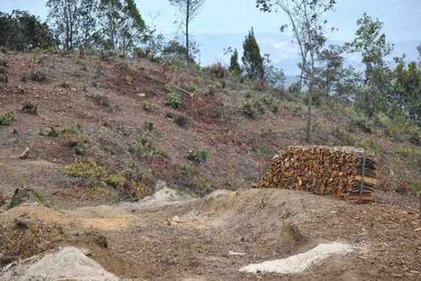 La deforestación en Guatemala es un tema que preocupa a las autoridades. (Foto Prensa Libre: Archivo)<br _mce_bogus="1"/>