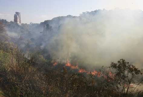 en la actual temporada de incendios forestales se han combatido 331 siniestros en todo el país, los cuales han afectado más de dos mil 320 hectáreas de zonas boscosas.