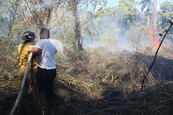 Bomberos sofocan uno de los incendios forestales ocurridos el año pasado en Escuintla. (Foto Prensa Libre: Melvin Sandoval)