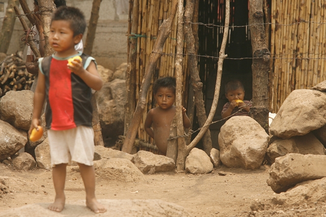 Guatemala tiene la tasa más alta de desnutrición crónica en América Latina, indica el documento. (Foto Prensa Libre: Hemeroteca PL)