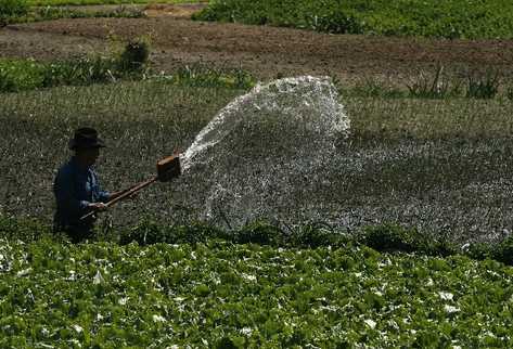 empresas capacitan a agricultores.