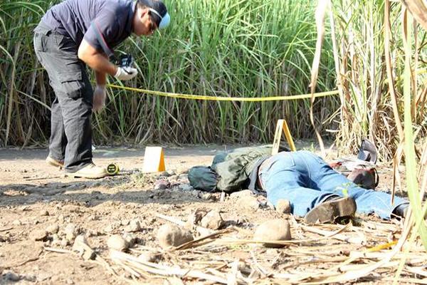 El cuerpo del policía privado estaba cerca de unas plantaciones de caña. (Foto Prensa Libre: Felipe Guzmán)<br _mce_bogus="1"/>