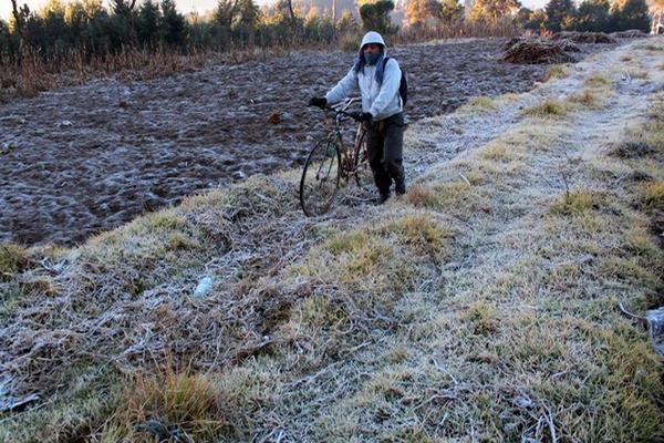 Una capa de escarcha cubre caminos y campos en San Miguel Siguilá, Quetzaltenango. (Foto Prensa Libre: Carlos Ventura). 