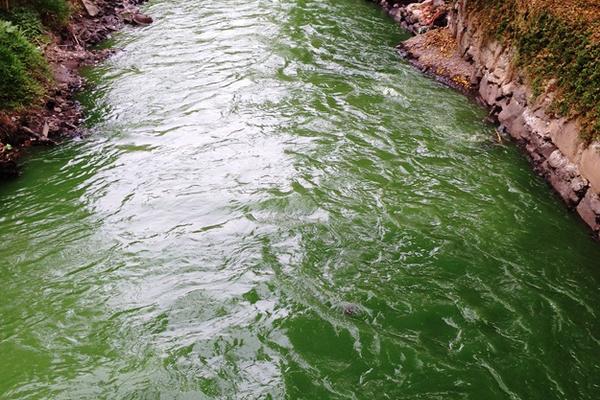 Lector comparte imagen que muestra cómo el río Michatoya, ubicado en Amatitlán, se ha teñido de un color verdusco debido a la contaminación generada por residuos que tiran las personas en todo su trayecto.