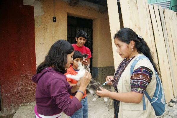 Vacunación fue  hecha casa por casa.