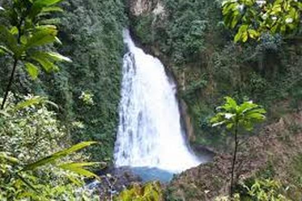 El Conap celebrará el Día Mundial de la Vida Silvestre, que tendrá lugar el próximo 3 de marzo. (Foto Prensa Libre: Archivo)