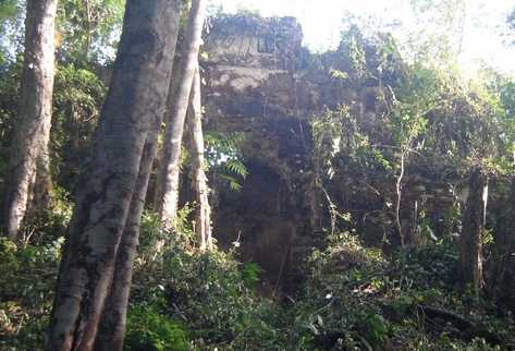 al menos cien edificios de Xultún, hoy cubiertos por la jungla, alcanzan una altura de 30 metros.