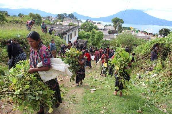 Mujeres cortan la maleza en un  sector de la zona 2 de Sololá.