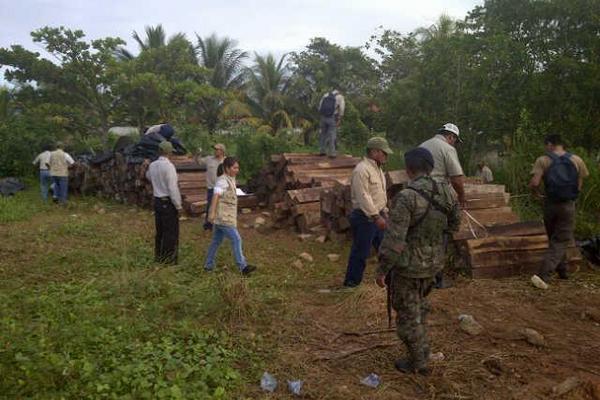 Incautan madera en un furgón abandonado en un un sector de Puerto Barrios, Izabal. (Foto Prensa Libre: PNC)<br _mce_bogus="1"/>