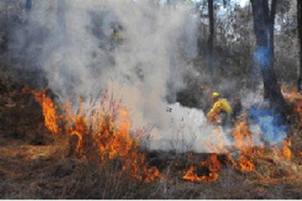 En los primeros días de febrero se han atendido cinco incendios. (Foto Prensa Libre: Conred)