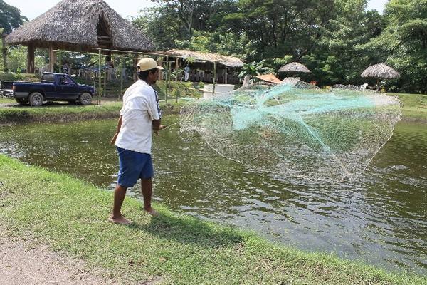 Estanque construido en terreno  que tenía  uso agrícola.