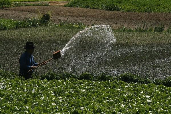 fideicomisos agrícolas se reducirán.