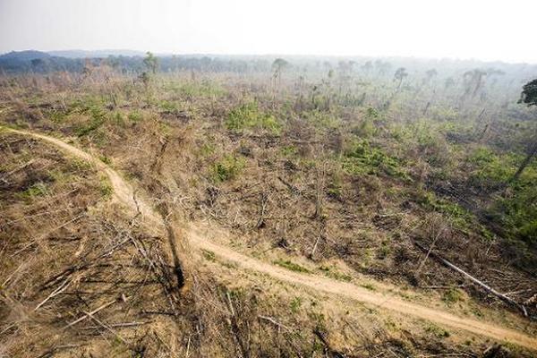 Las carreteras de la Amazonía representan grave riesgo en Sudamérica. (Foto Prensa Libre: AFP)<br _mce_bogus="1"/>