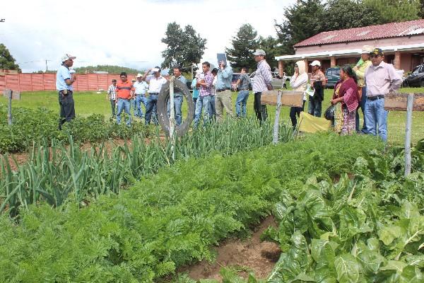 Capacitación en la que participaron pequeños agricultores de Chimaltenango.