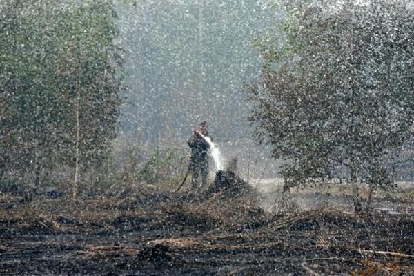 Los incendios forestales arrasan gran cantidad de bosque en Arizona, EE.UU. (AFP).