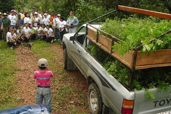 practicantes    que reforestan el área.