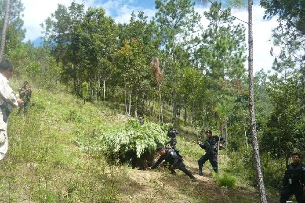 Agentes, durante el operativo.