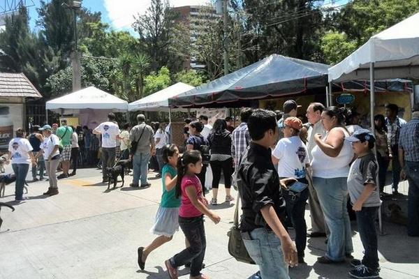 Decenas de personas participaron en una jornada de adopción de perros. (Foto Prensa Libre: Ana Lucía González)<br _mce_bogus="1"/>