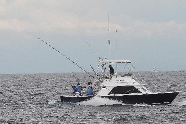 Una de las embarcaciones intenta acercarse al pez vela para luego liberarlo nuevamente. (Foto Prensa Libre: Eddy Recinos)