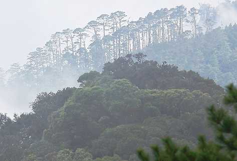 Sierra de las Minas. (Foto Prensa Libre: Archivo)