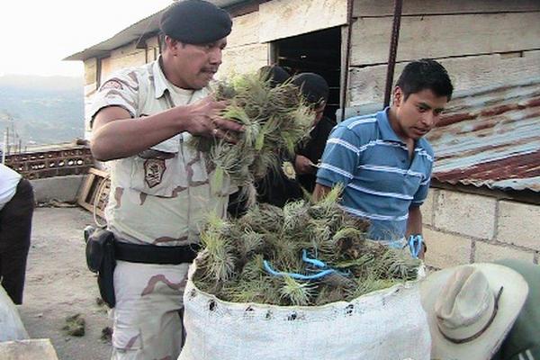 Agentes de División de Protección a la Naturaleza decomisan plantas que transportadas ilegalmente. (Foto Prensa Libre: Ángel Julajuj)