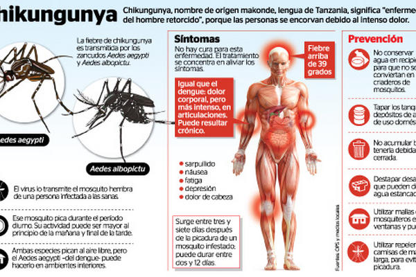 Infografía sobre el virus Chikunguña. (Foto Prensa Libre:ARCHIVO). 