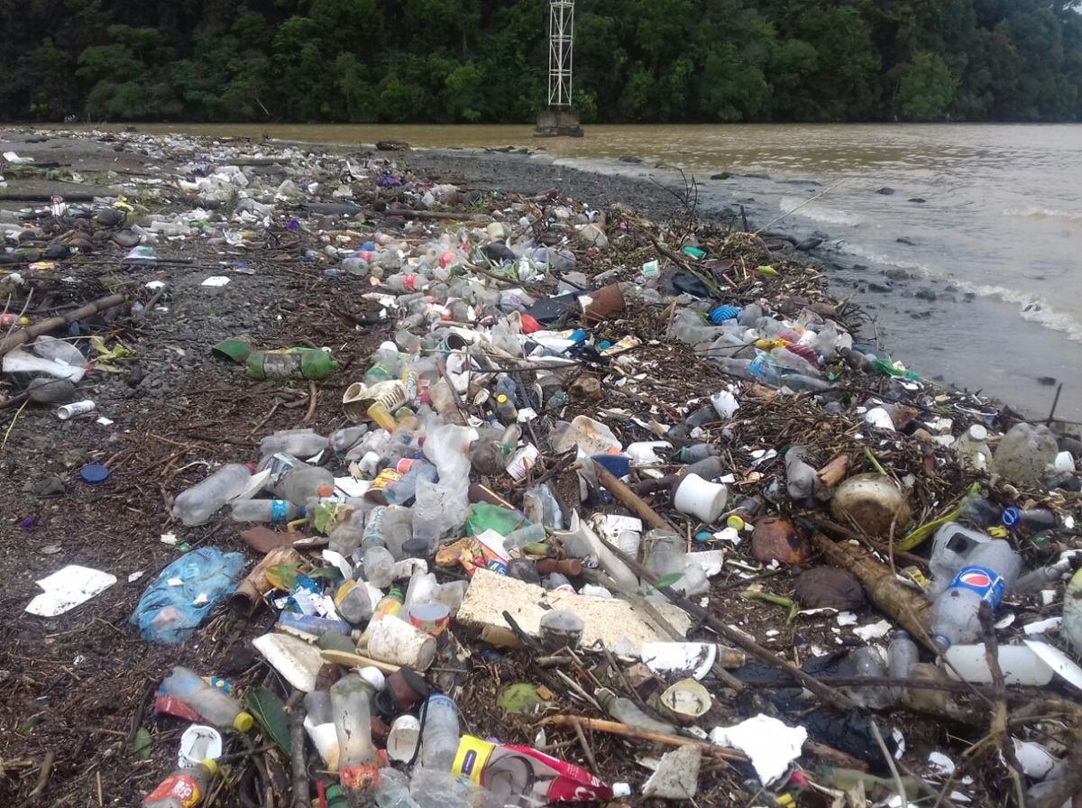 Las correntadas de los ríos han arrastrado grandes cantidades de basura a la playa pública de Santo Tomás de Castilla. (Foto Prensa Libre: Dony Stewart)