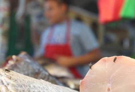 Comercios y restaurantes se han visto afectados por la gran cantidad de moscas, y aunque  toman medidas para ahuyentarlas, no han funcionado.