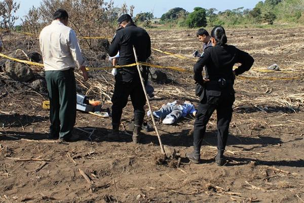 El cadáver quedó en un terreno donde recién fue levantado el cultivo de caña. (Foto Prensa Libre).<br _mce_bogus="1"/>