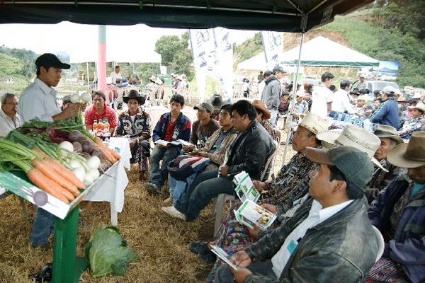 campesinos reciben capacitación agrícola.