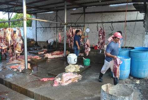 En  el matadero municipal de Retalhuleu, el destace de reses  se realiza  en el piso, pese a que el Maga ordenó a la comuna el  cierre del lugar.