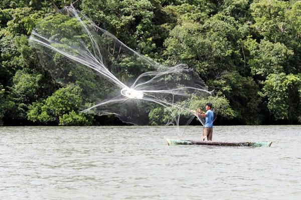 Un pescador hace gala de su equilibrio al lanzar su red desde una embarcación en Río Dulce. (Foto Prensa Libre: Edwin Perdomo)<br _mce_bogus="1"/>