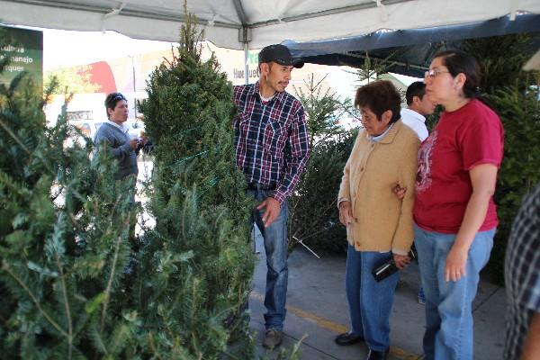 Los productores esperan    masiva afluencia de compradores en la feria.