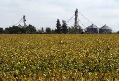 Un campo cultivado con soja transgénica produce en Santa Clara de la Buena Vista, Santa Fe, Argentina. (Foto Prensa Libre: AFP)