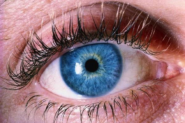 el glaucoma es una de las principales causas de la ceguera alrededor del mundo.