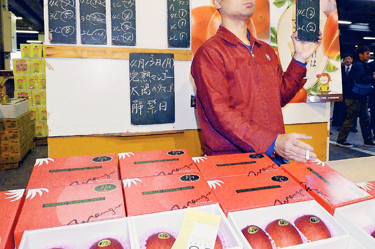 Un par de mangos se subastó en  Miyazaki, Japón por US$2.500.  (Foto Prensa Libre:AFP)