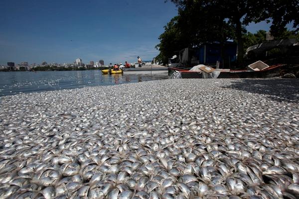 Los peces en el río es interpretado por varios músicos nacionales. (Foto Prensa Libre: Archivo)