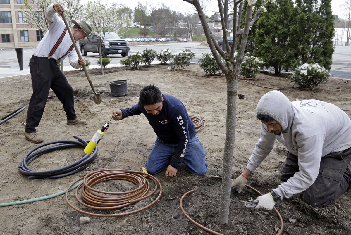 La jardinería es uno de los sectores más afectados por endurecimientos de visados en EE. UU. (Foto Prensa Libre: AP)