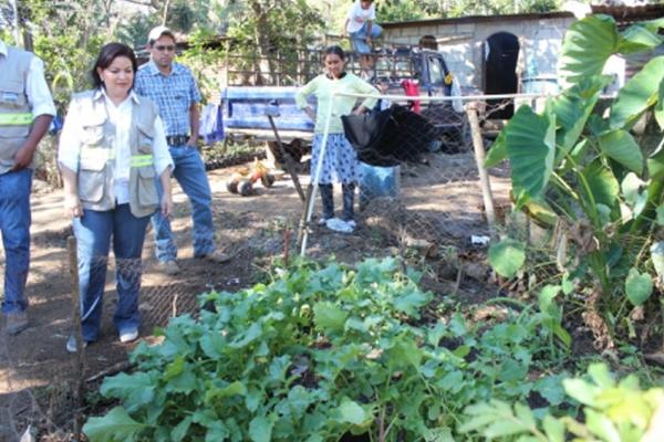 El MAGA instala huertos familiares en viviendas de Santa Rosa. (foto Prensa Libre: MAGA)