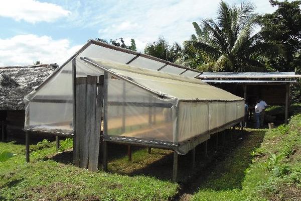 Invernaderos de cacao, proyecto apoyado por el Prodenorte.